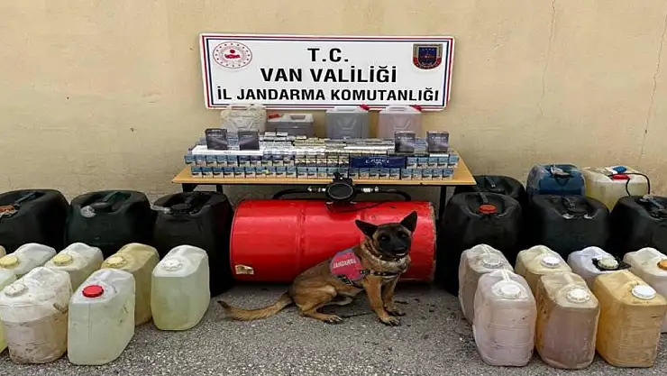 Jandarmadan kaçakçılığa geçit yok!