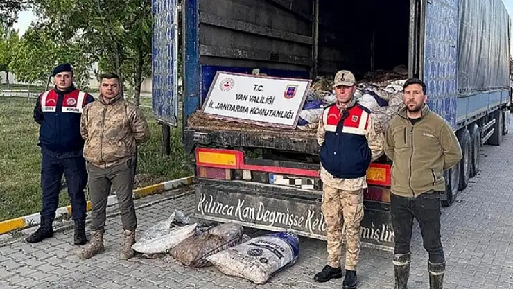Jandarmadan nokta atışı: 20 tona inci kefali ele geçirildi!