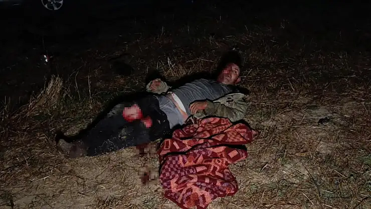 Kaçan Aslan fıstık bahçesinde dehşet saçtı: Çiftçi ağır yaralı