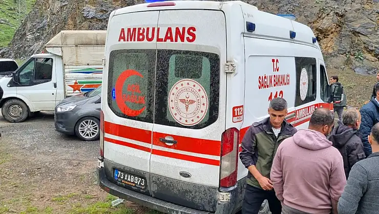 Kamyonet Habur Çayı'na devrildi: 2 yaralı