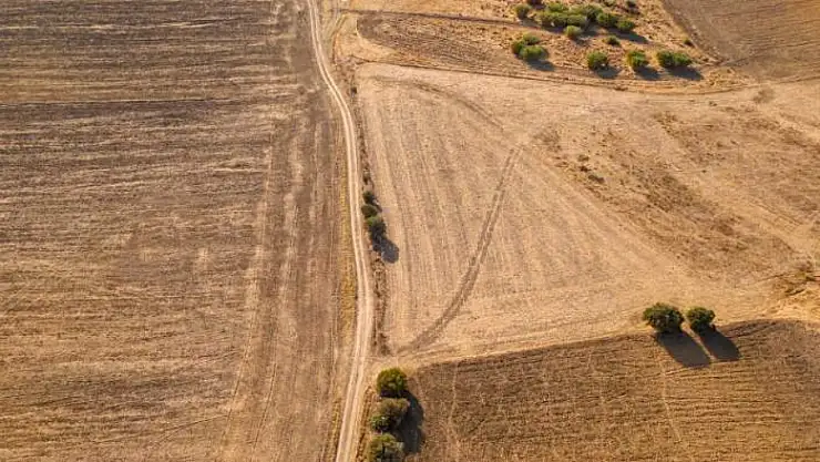 Kamyonet tarlaya devrildi: 2 kişi yaralandı