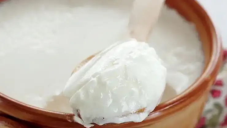Kanlıca halkı yüzyıllardır gizlemiş Yoğurt böyle yapılmalıymış! Taş gibi yoğurt tarifi