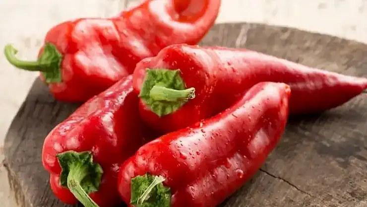 Kapya Biber Nedir? Faydaları Nelerdir?