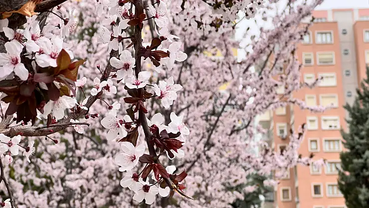 Kar hububatta sevindirdi. Meyve sebzede endişelendirdi