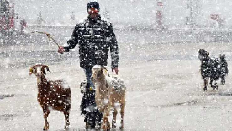 Kar yağışı hayvanları zorda bıraktı!