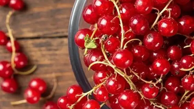 Kara Frenk Üzümü sağlığınıza birçok yarar sağlıyor!