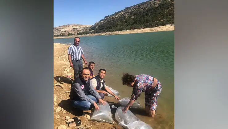 Karaman'da o gölet barajına 20 bin balık yavrusu bırakıldı
