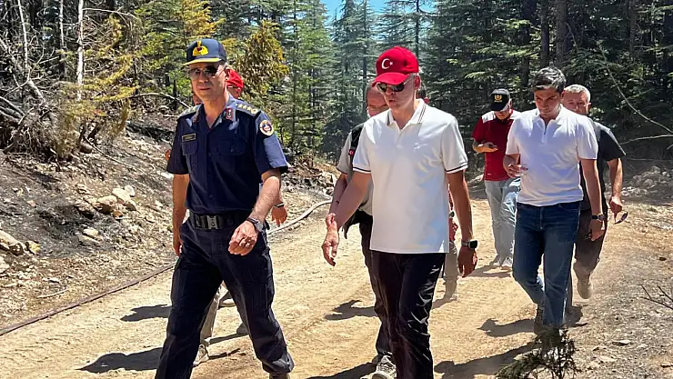 Karaman Valisi, söndürülen orman yangınlarının ardından incelemelerde bulundu