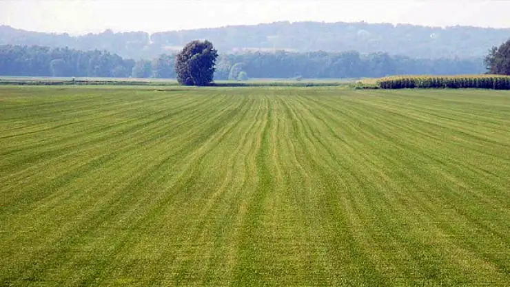 Karapınar Belediyesi'nden 20 Adet Satılık Arsa
