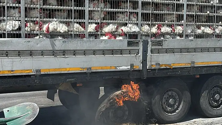 Karapınar canlı tavukların bulunduğu tırda yangın paniği!