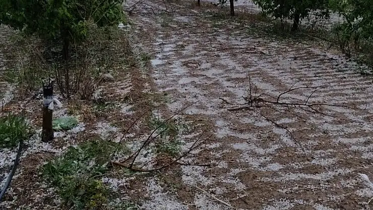 Karapınar'da etkili yağış çiftçilerin yüzünü güldürdü