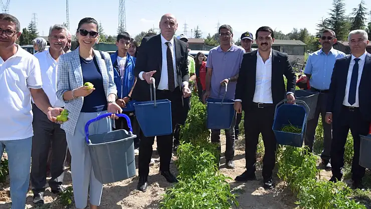 Karapınar'da hasat etkinliği düzenlendi