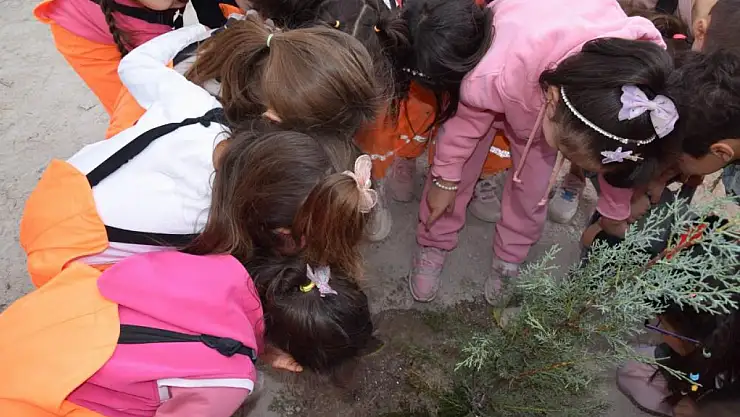 Karapınar'da minik ellerden geleceğe nefes