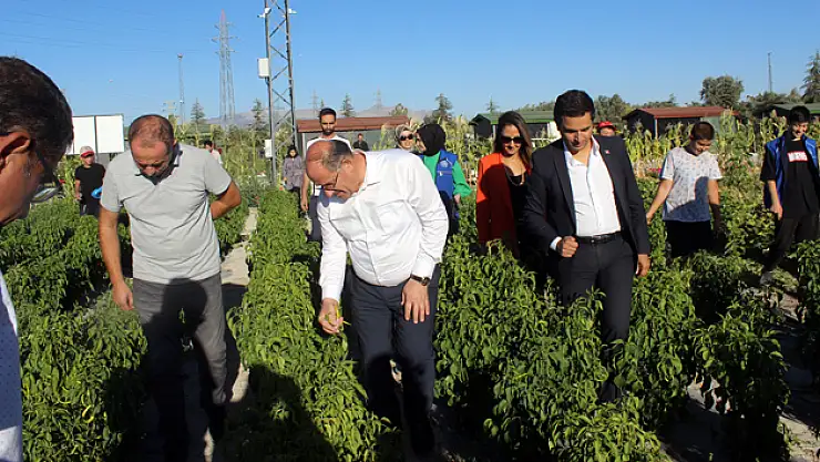 Karapınar'da gençlerin yetiştirdiği sebze ve meyveler ihtiyaç sahiplerine dağıtılıyor
