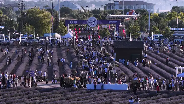 Karatay Belediyesi, Lavanta Festivali'ne 8 milyondan fazla bütçe ayırdı!