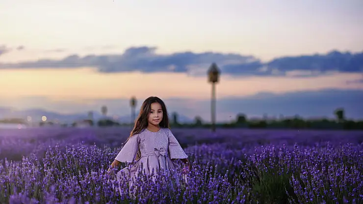 Karatay'ın mor cennetindeki hatıra defteri ziyaretçilerin duygularına ışık tutuyor