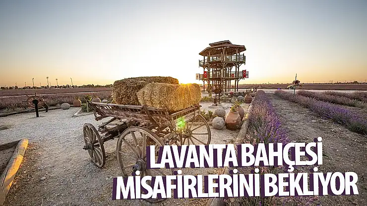 Karatay Lavanta Bahçesi kapılarını açıyor