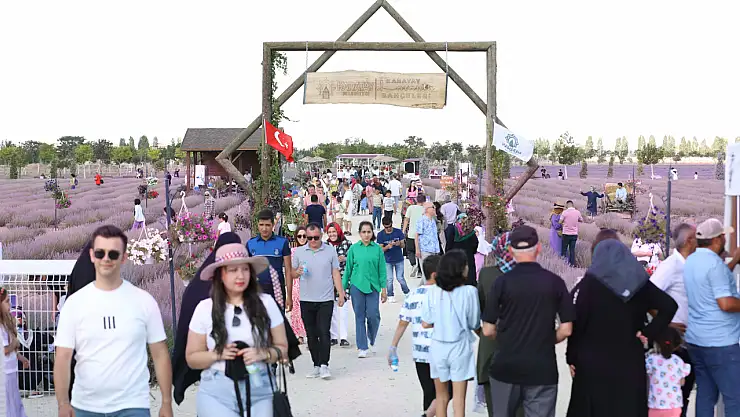 Karatay Lavanta Günleri başladı