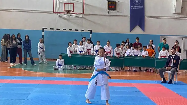 Karate Turnuvası Seydişehir'de gerçekleşti!