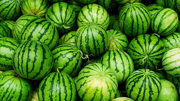 Karpuz alırken bu işaretleri görürseniz sakın almayın!