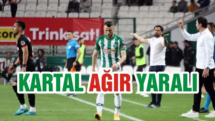 Kartal ağır yaralı