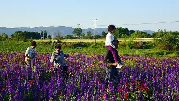 Kastamonu'nun doğal güzellikleri: Ahmetbey Köyü renklendi
