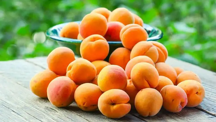 Kayısının sağlık açısından en belirgin faydası nedir?