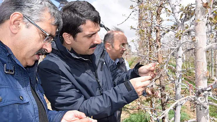 Kaymakam Öztürk, zirai don sonrası hasar gören alanlarda incelemelerde bulundu