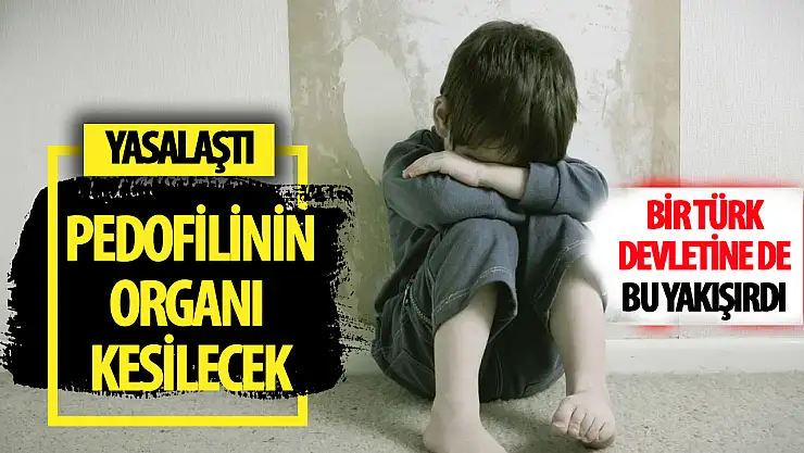 Kazakistan'da Pedofili Suçlarına Yönelik Yeni Yasada Cerrahi Hadım Kabul Edildi