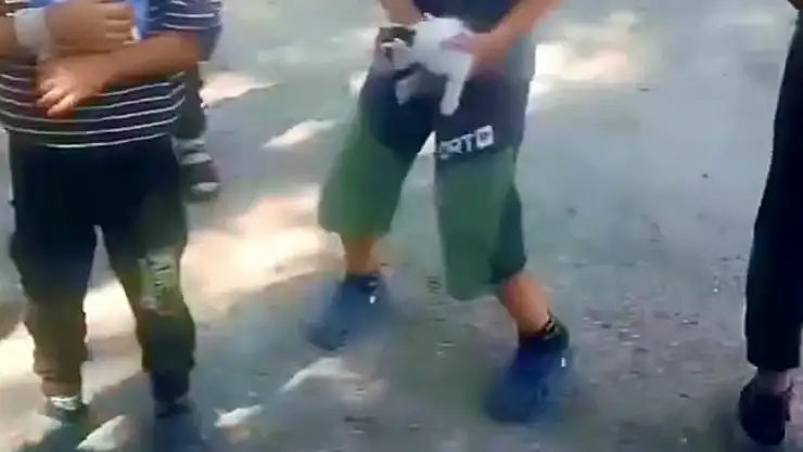 Kedi dipsiz kuyuya düştü! Kahraman çocuklar canını tehlikeye attı...