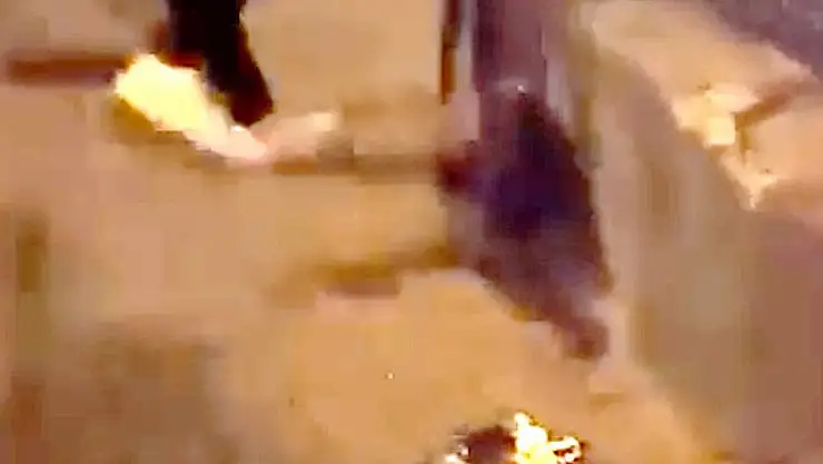 Kediye tekme atan kişi gözaltına alındı