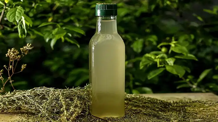 Kekik suyunun faydaları nelerdir? İşte kekik suyunun mucizevi faydası