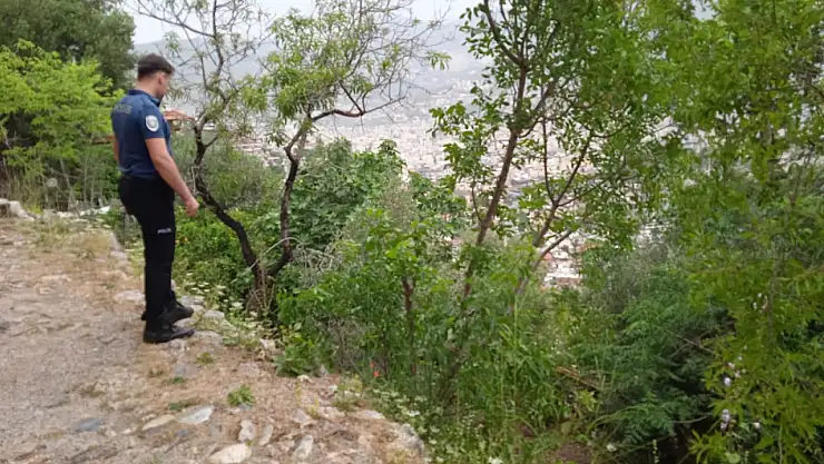 Kekik toplarken canından oluyordu!