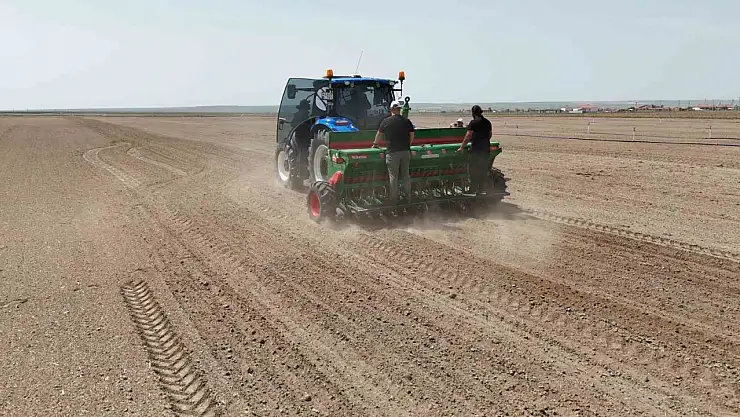 Kenevir ekimi başladı