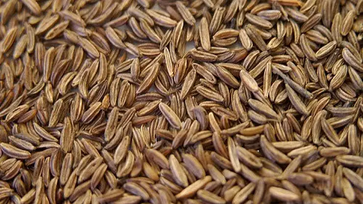 Kimyonun faydaları nelerdir? Kimyon neye iyi geliyor?