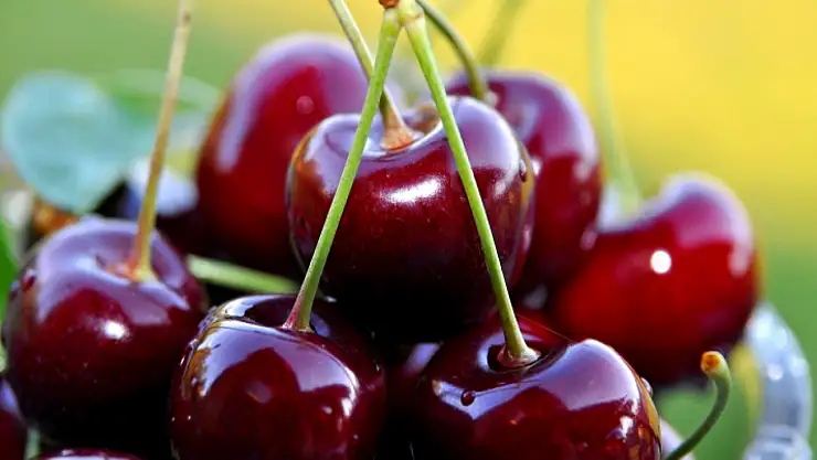 Kiraz Tüketmenin Bağışıklık Sistemine Etkisi Nedir?