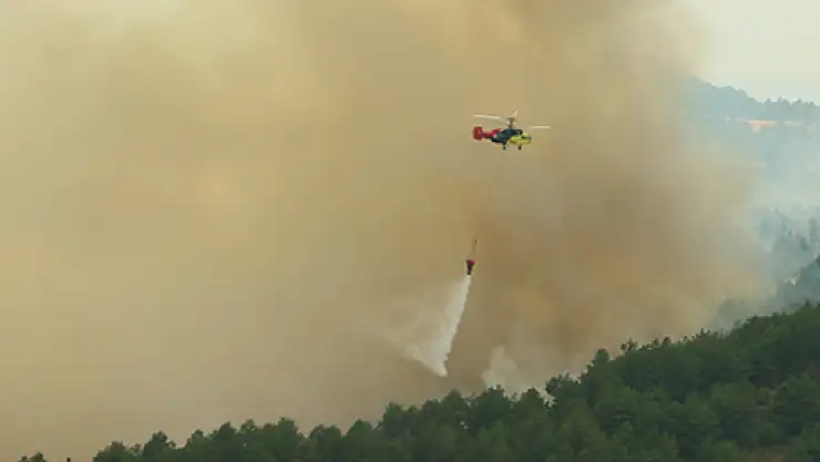 Kısa sürede büyüyen orman yangınına müdahale ediliyor!