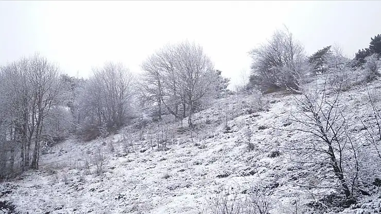 Kışın yağmayan kar bahar da yağıyor!