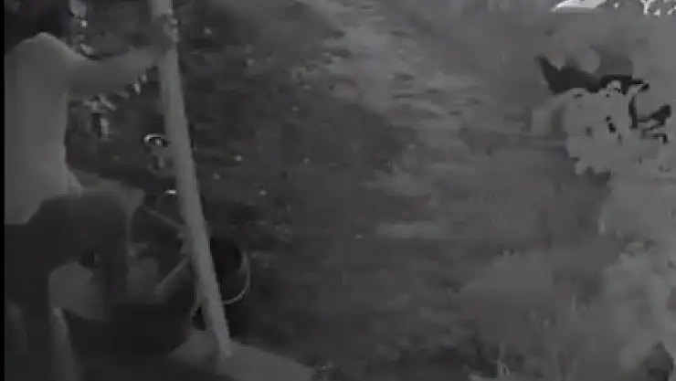 Kıyafetine yapışan ot saldırganı ele verdi