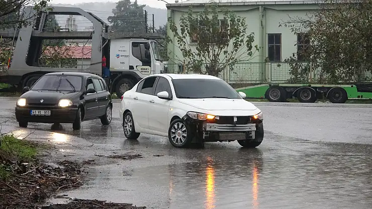 Kocaeli'de şiddetli rüzgar ağacı kökünden söktü