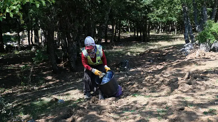 Kocakoru tabiat Parkı'nda çevre temizliği
