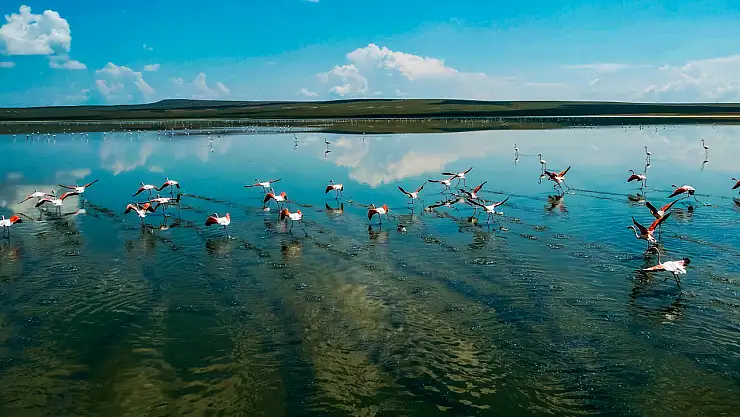 Konserler, sirk gösterileri, kortej yürüyüşleri... Konya'da eğlence başlıyor!