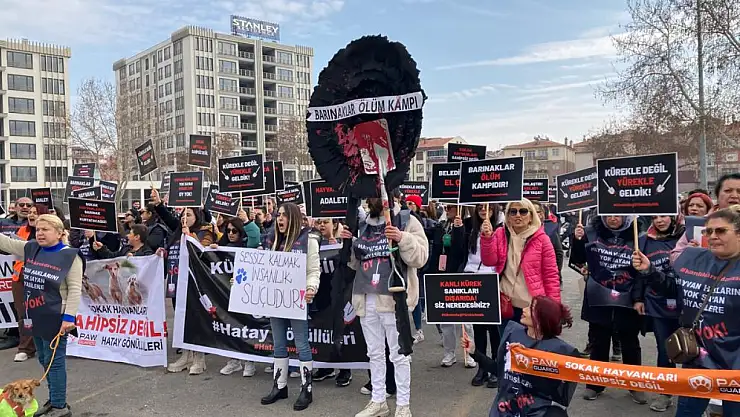 Konya barınağında köpeği öldüren sanıkların tahliyesine tepki