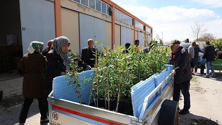 Konya Büyükşehir 31 İlçede Ürün Çeşitliliğini Artırmak İçin Çiftçiye Destek Oluyor