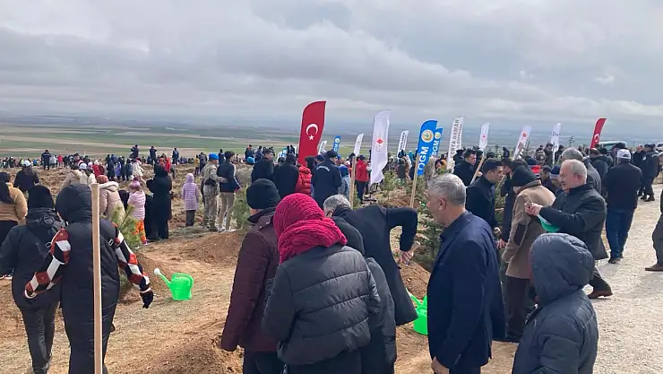 Konya'da 10 bin fidan toprakla buluşturuldu