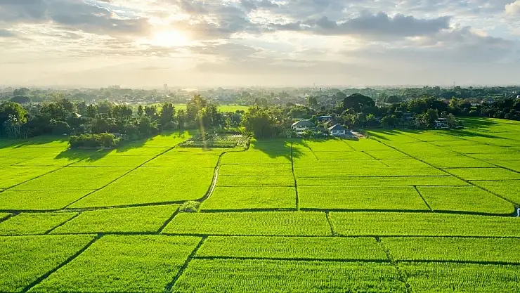 Konya'da 12 bin metre karelik tarla satışa çıkıyor! İşte fiyatı...
