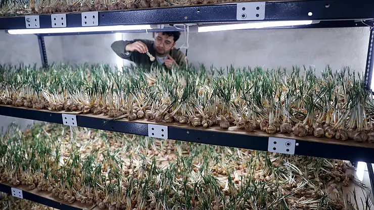 Konya'da 14 metrekarelik tesisten yıllık 1 milyonu aşan gelir