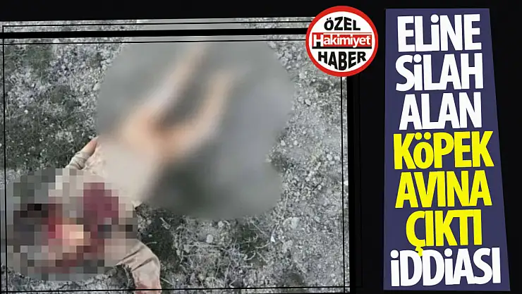 Konya'da 2 Yaşındaki Bebeğin Köpekler Tarafından Öldürülmesi Büyük Tepki Çekti