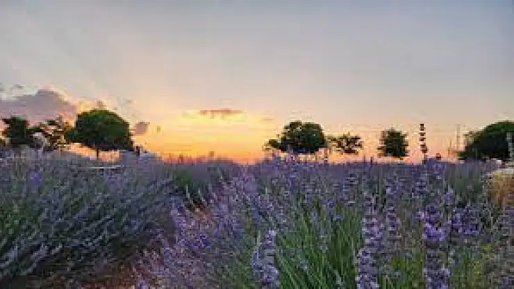 Konya'da Türkiye ekonomisine büyük katkı sağlayacak o yerin işte açılış tarihi