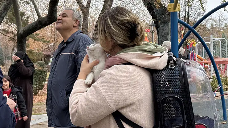 Konya'da ağaçta mahsur kalan kedi kurtarıldı